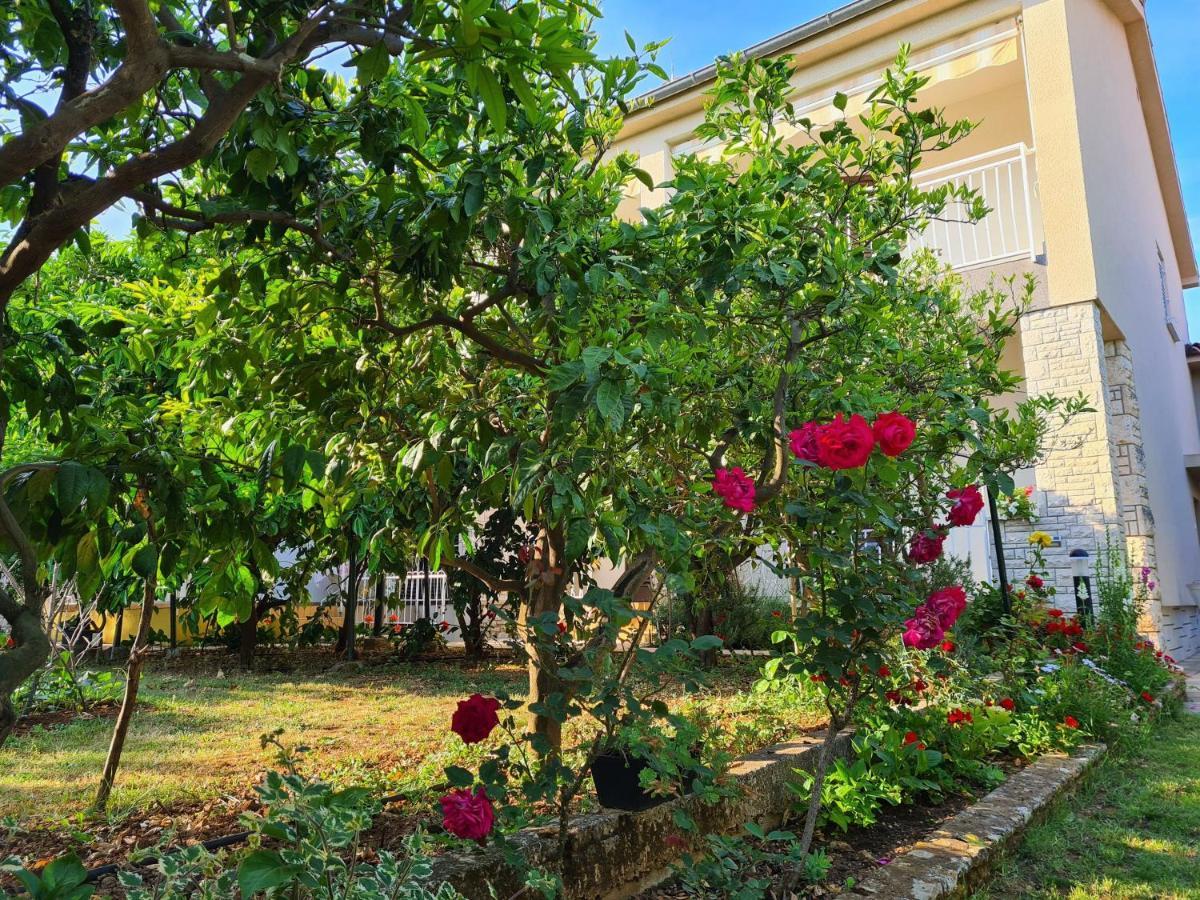Apartments Ana Medulin Dış mekan fotoğraf