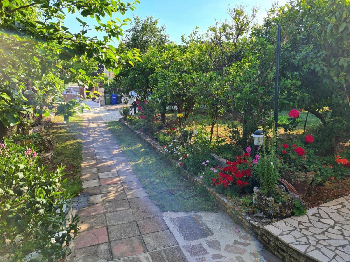 Apartments Ana Medulin Dış mekan fotoğraf